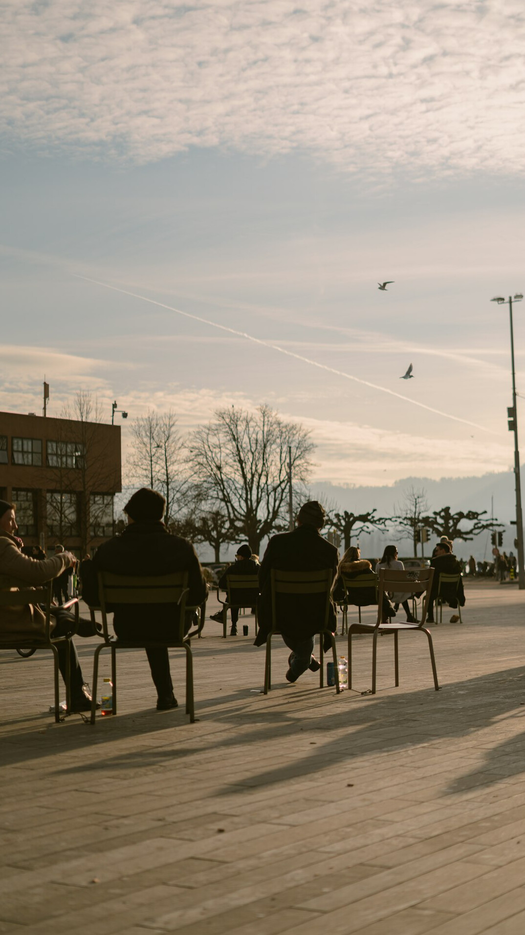 Older adults and a young facilitator talking in a warm circle of chairs
