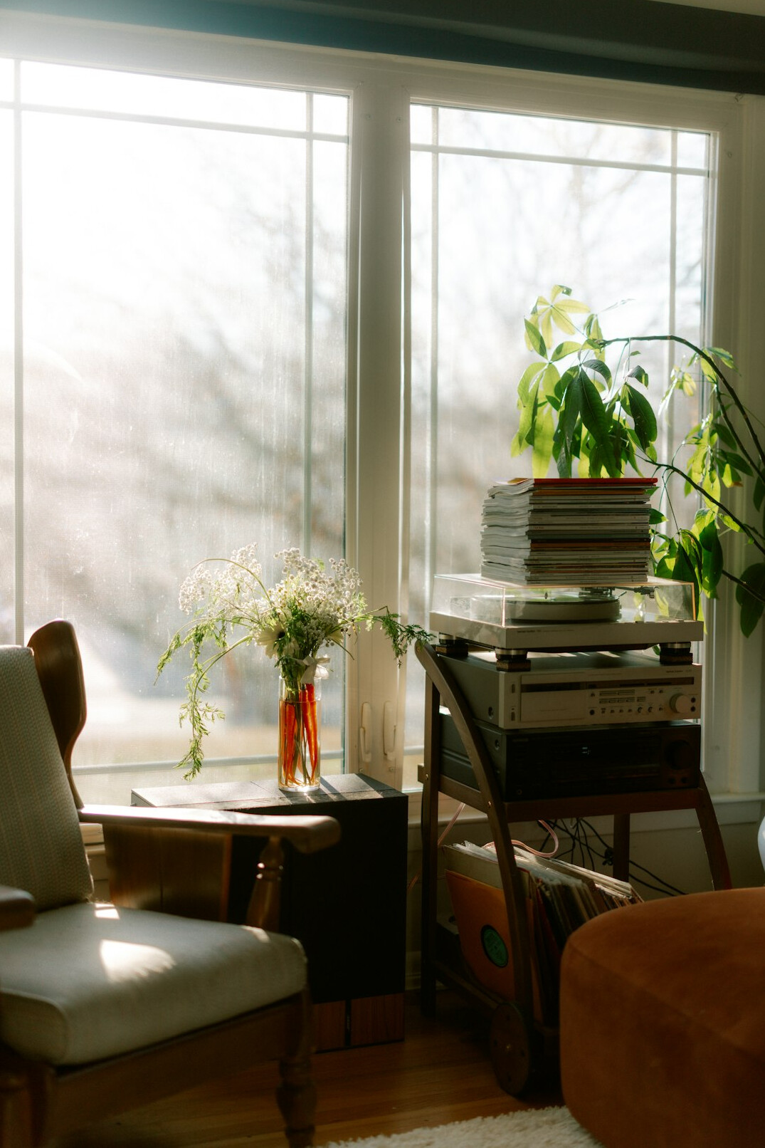 Older woman reading a magazine in an armchair by a window